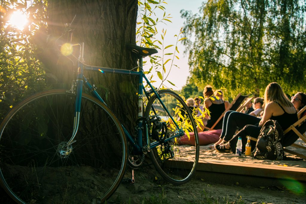 pexels photo 1295340 1295340 Bicycle leaning against tree in sunny park, friends lounging nearby in summer.